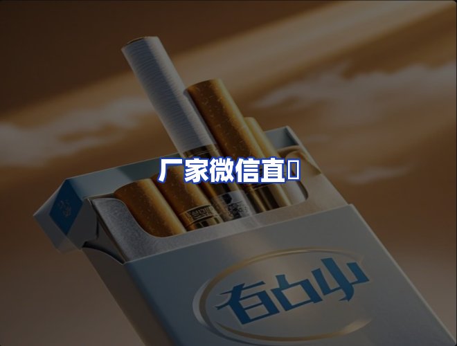专业团队